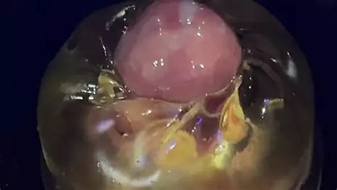 Gozando Gostoso Free Gay Hd Porn Video Xhamster