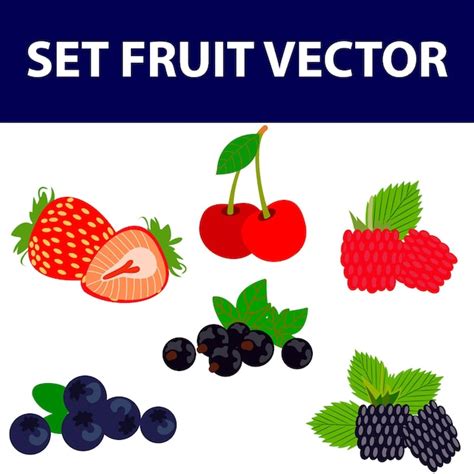 Premium Vector Forest Berry Sweet Fruit Realistic Illustration 3d