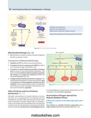 Chapitre 3 L Importance Des Fossiles Et La Notion Du Cycle