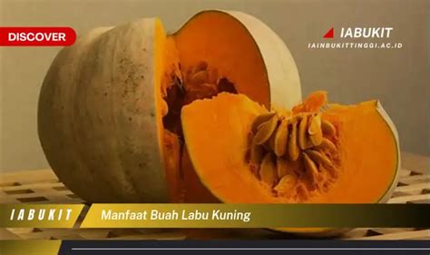 Jarang Diketahui Ini Dia 7 Manfaat Labu Kuning Yang Bikin Penasaran