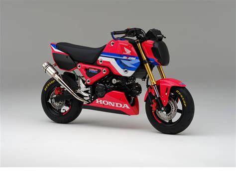 Honda Msx 125 Grom Race Bike For Hrc Grom One Make Race Unveiled