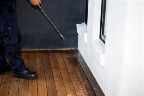 Effective Pest Control Tips to Eradicate Pests - Pest Control Singapore