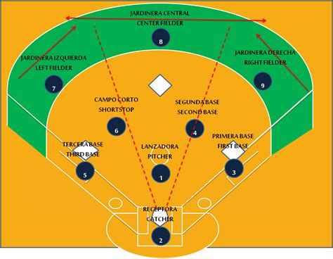 Vive El Softbol Posiciones Defensivas