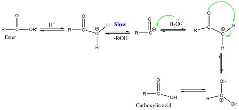 ester hydrolysis easy introduction   mechanisms chemistry notes