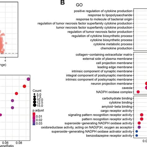 Functional Enrichment Analysis A Volcano Plot Of Degs Go B And Kegg Download Scientific