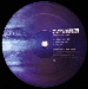 Stadium Arcadium 4 LP 2006 180 Gramm Vinyl Von Red Hot Chili Peppers