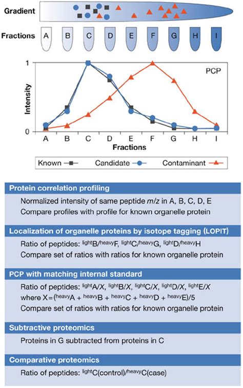 Organellar Proteomics Turning Inventories Into Insights Embo Reports