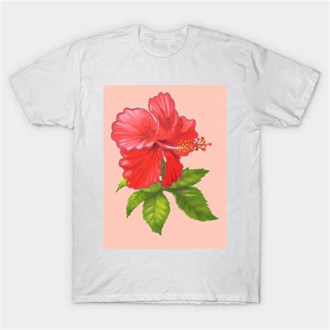 Pink Hibiscus Flower Hibiscus Flowers Hibiscus Pink