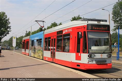 MGT6D 645
