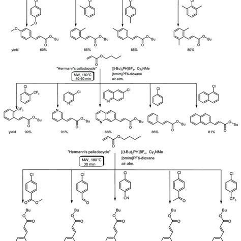 Scheme 17 Palladium Catalyzed Heck Reaction Of Aryl Chlorides In