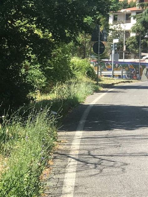 Monte Compatri La Segnalazione Quella Discarica Su Via Delle