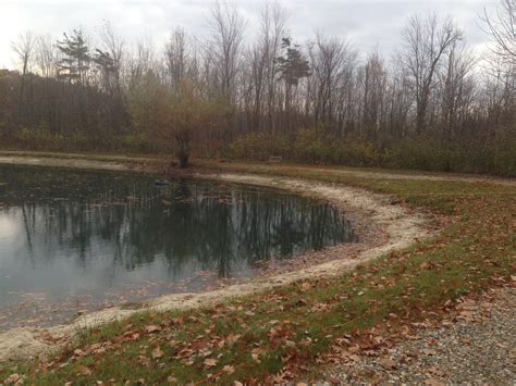 Rocks Around Pond Fix Pond Banks Metamora Mi Pond Erosion