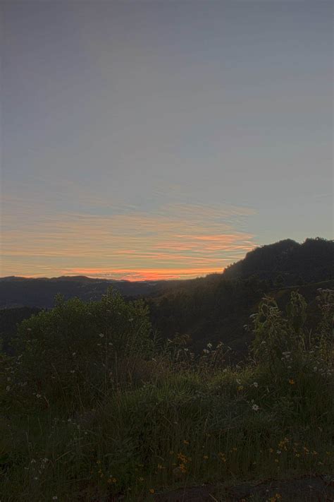 El galope que rompe el silencio :: Behance