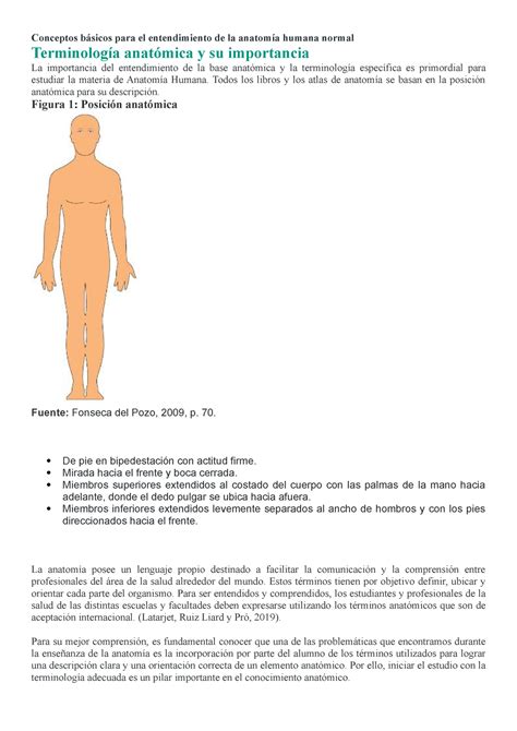 Modulo Anatomia El Orden Del Los Apuntes Son Correctos Falta