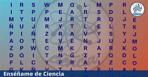 Acertijo Visual Encuentra La Palabra “ardilla” En La Sopa De Letras Tienes 5 Segundos Para