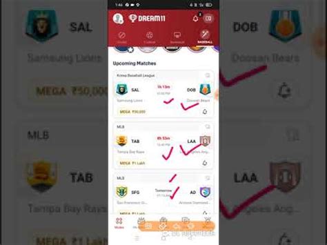 SAL Vs DOB Dream11 SAL Vs DOB Dream11 Prediction SAL Vs DOB Dream11