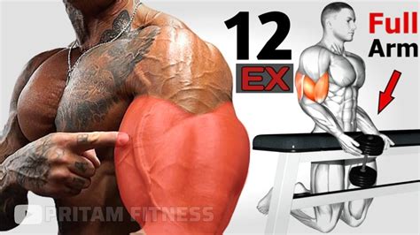 12 Most Effective Workout For Big Arms Best Bicep Tricep Exercise