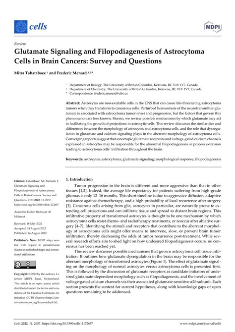 Pdf Glutamate Signaling And Filopodiagenesis Of Astrocytoma Cells In