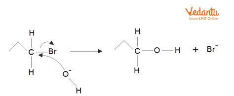 Nucleophile | Learn Important Terms and Concepts