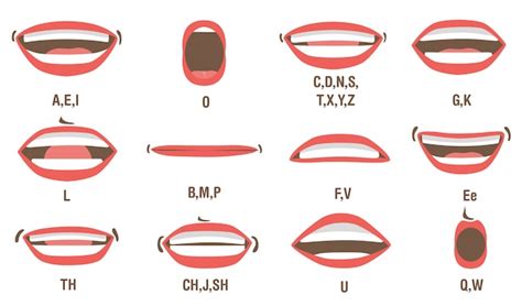 Mouth Shapes For Animation