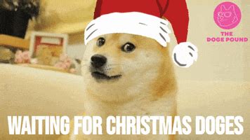 Christmas Doge GIFs - Find & Share on GIPHY