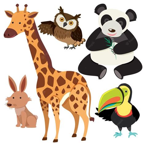 Premium Vector | Set of animals cartoon simple style