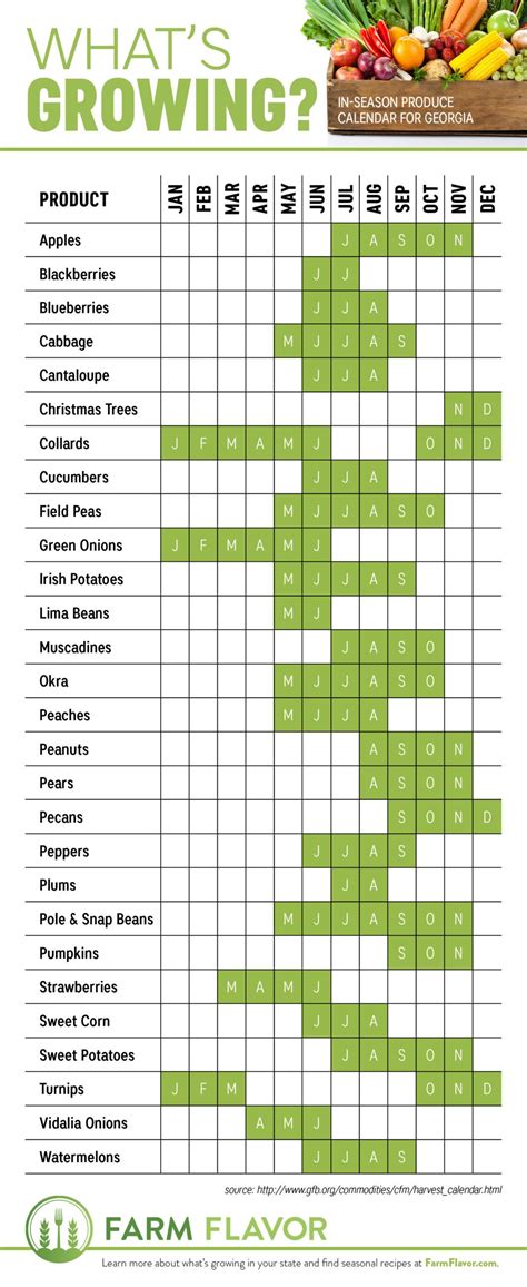 Georgia Vegetable Planting Calendar