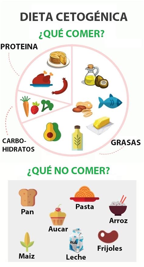 Dieta Cetogénica Para Principiantes Y Guía Paso A Paso Sano Y Sano