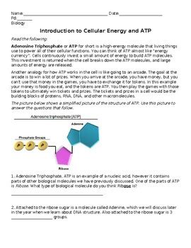 Cell Energy And Atp Guided Inquiry Pogil Style Activity By