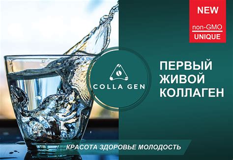 Купить первый живой коллаген для приёма внутрь в Красноярске ⭐ effi-home
