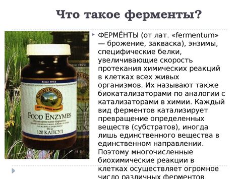Ферменты. Роль ферментов в организме. Каталитические свойства ферментов ...