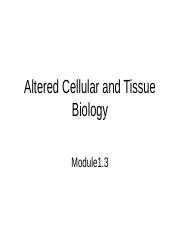 Alteration In Cells And Tissue Gb Ppt Altered Cellular And Tissue