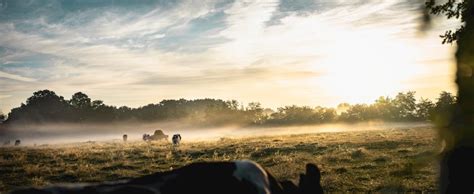 Farm Land during Sunset · Free Stock Photo