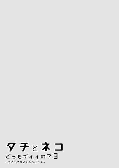 Tachi To Neko Docchi Ga Ii No Top Or Bottom 3 Nhentai Hentai Doujinshi And Manga