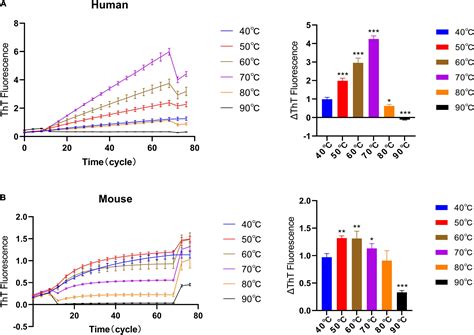 Frontiers Quiescent Elongation Of α Synuclein Pre Form Fibrils Under