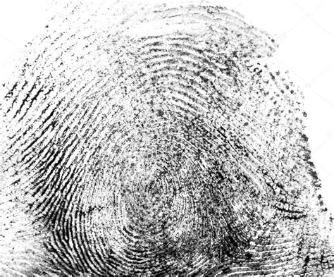 Fingerprint closeup texture Stock Photo by ©valzan 95870234