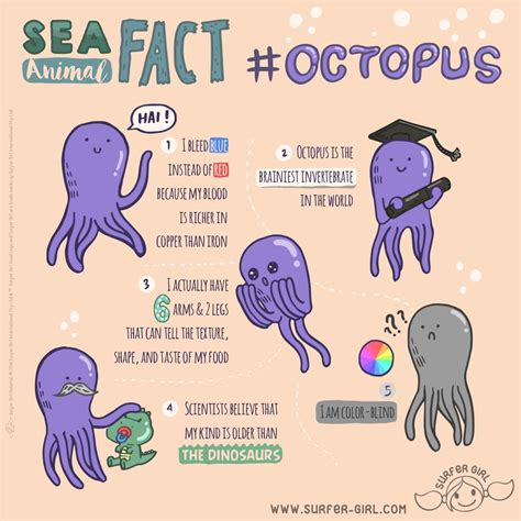 Facts About Animals In The Ocean