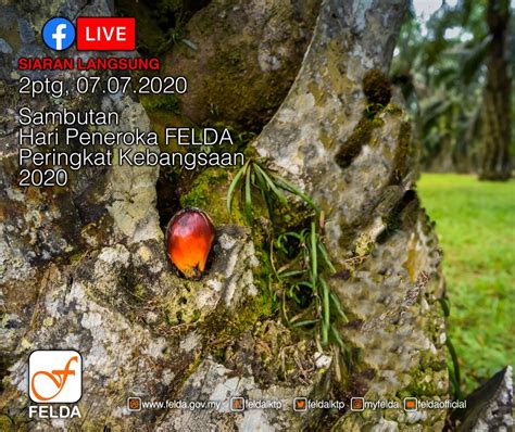 Felda Sambutan Hari Peneroka Felda Peringkat Kebangsaan