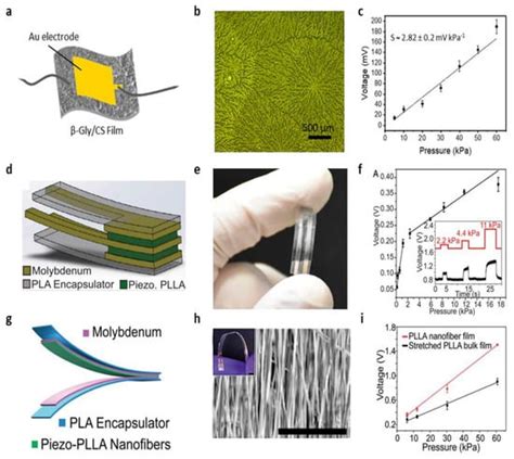 Biosensors Free Full Text Micro Nano Structured Biodegradable