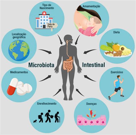 Tu Microbiota Intestinal Como Alimentarla Images