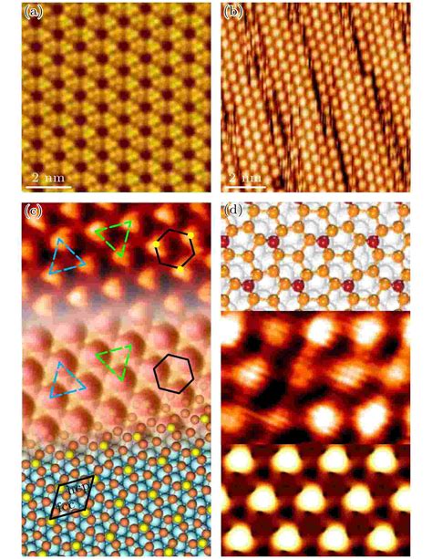 Novel Two Dimensional Materials And Their Heterostructures Constructed