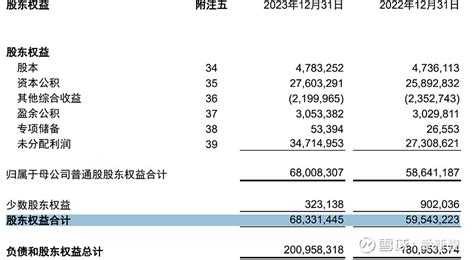 对中兴通讯2023年年报几个关键财务指标的分析 回顾2023年，全球经济艰难复苏，对 Ict 行业带来诸多变数，从年报来看，中兴整体经营稳健