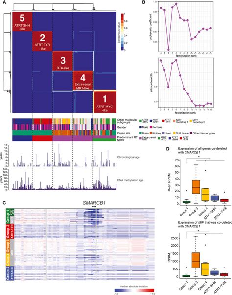 Five DNA Methylation Subgroups Of RTs From Cranial And Extra Cranial