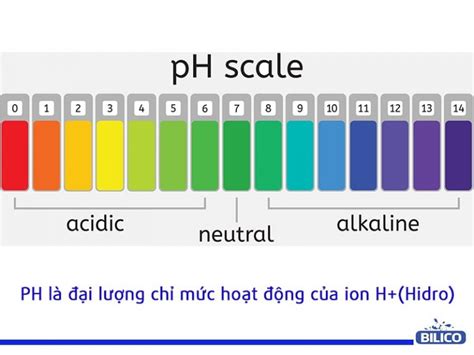 Thẻ Nồng độ Ion H