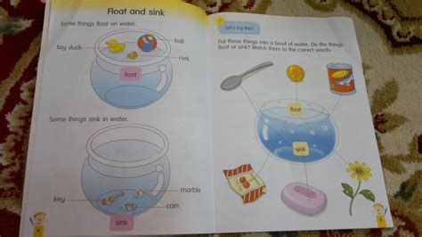 Float And Sink For Kindergarten