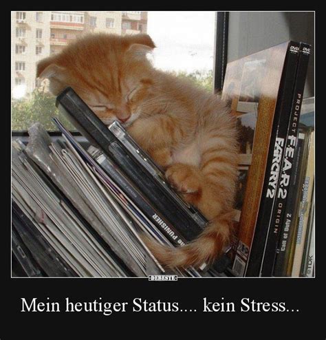 37 Lustige Sprueche Stress Sprueche Zuviel Stress Hier Erst Mal