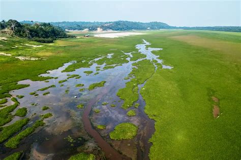 Seca extrema na Amazônia os impactos para as populações PIM Amazônia