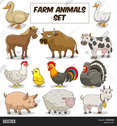 Cartoon Farm Animals Vector & Photo (Free Trial) | Bigstock