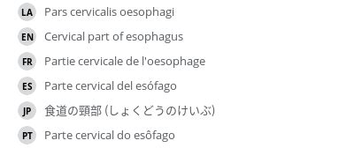 Cervical part of esophagus - e-Anatomy - IMAIOS