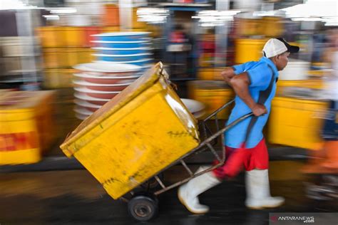 Penjualan Ikan Di Pasar Muara Angke Anjlok Hingga Persen Antara News